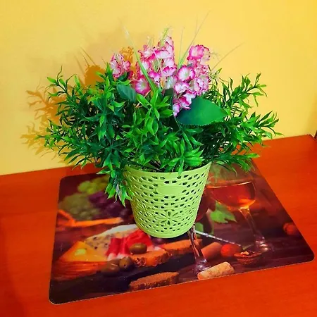 Apartment Vesna Kampor