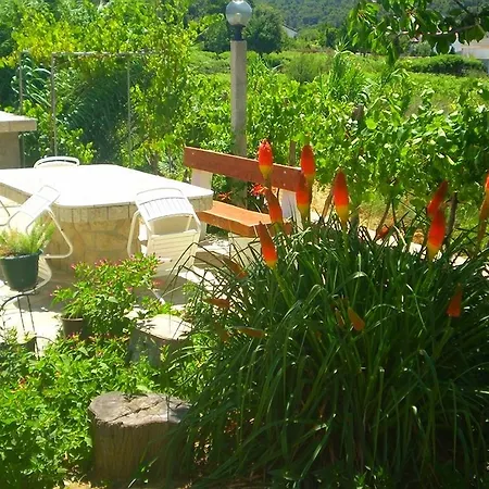 Apartment Vesna *
