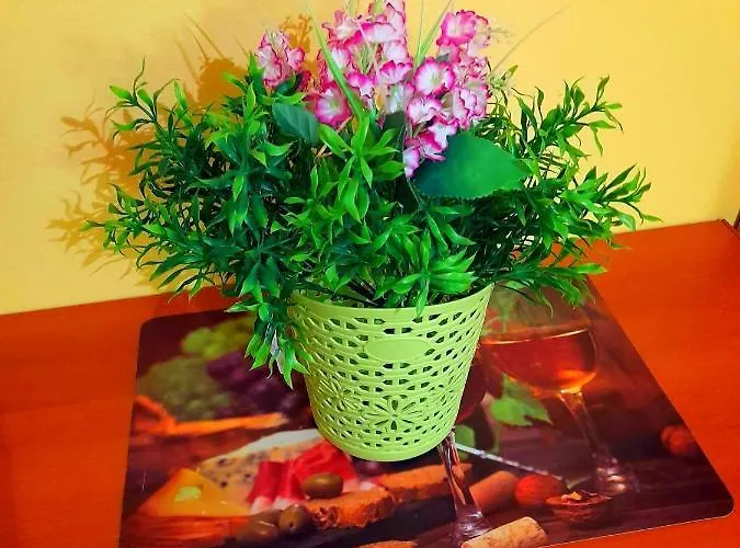 Appartement Vesna Kampor